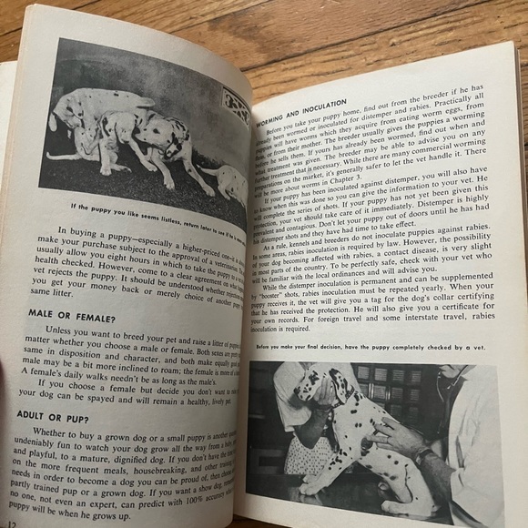 How To Raise And Train Dalmatian Dog Vintage Mid Century Book Dog Lovers Rare - Picture 9 of 10